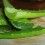 premium-organic-aloe-vera-fresh-leaf